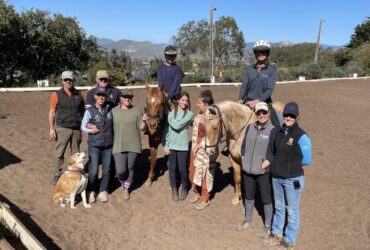 Dressage Competition Clinic