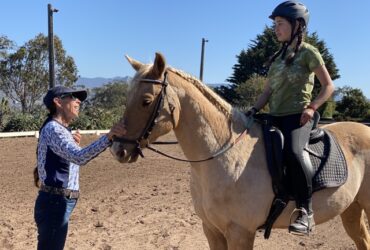 Dressage Competition Clinic